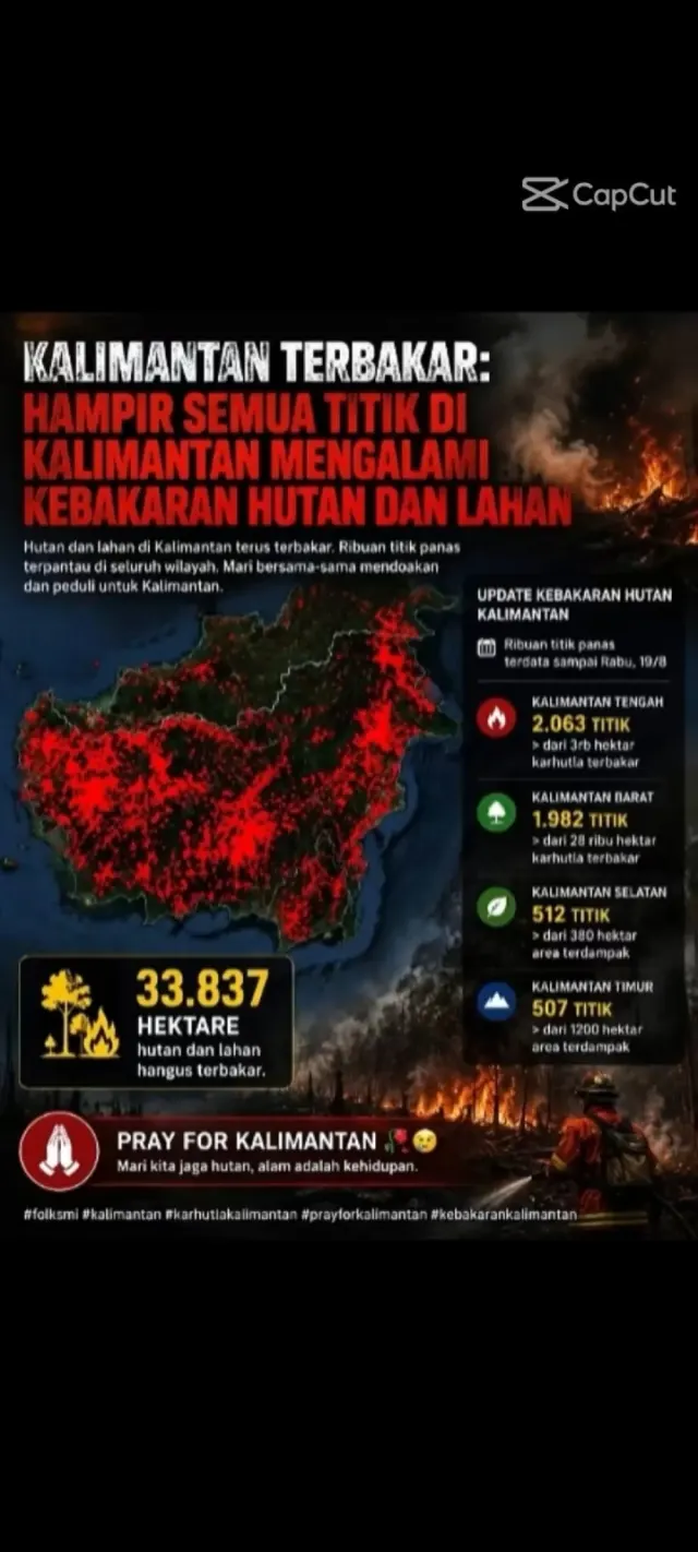 Duka Kalimantan: Ketika Paru-Paru Dunia Mulai Terbakar 🔥 — Nasional